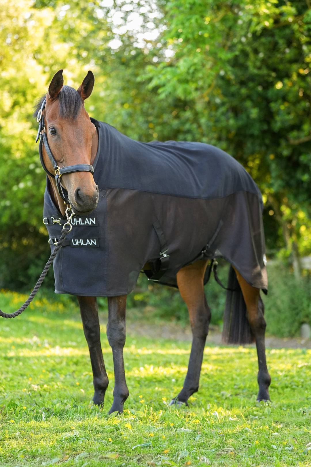 Black Combi Mesh Airflow Cooler Rug – Uhlan - Main Image