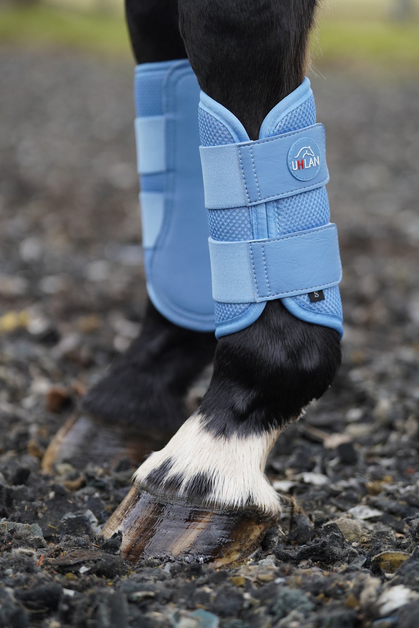 Small pony brushing on sale boots