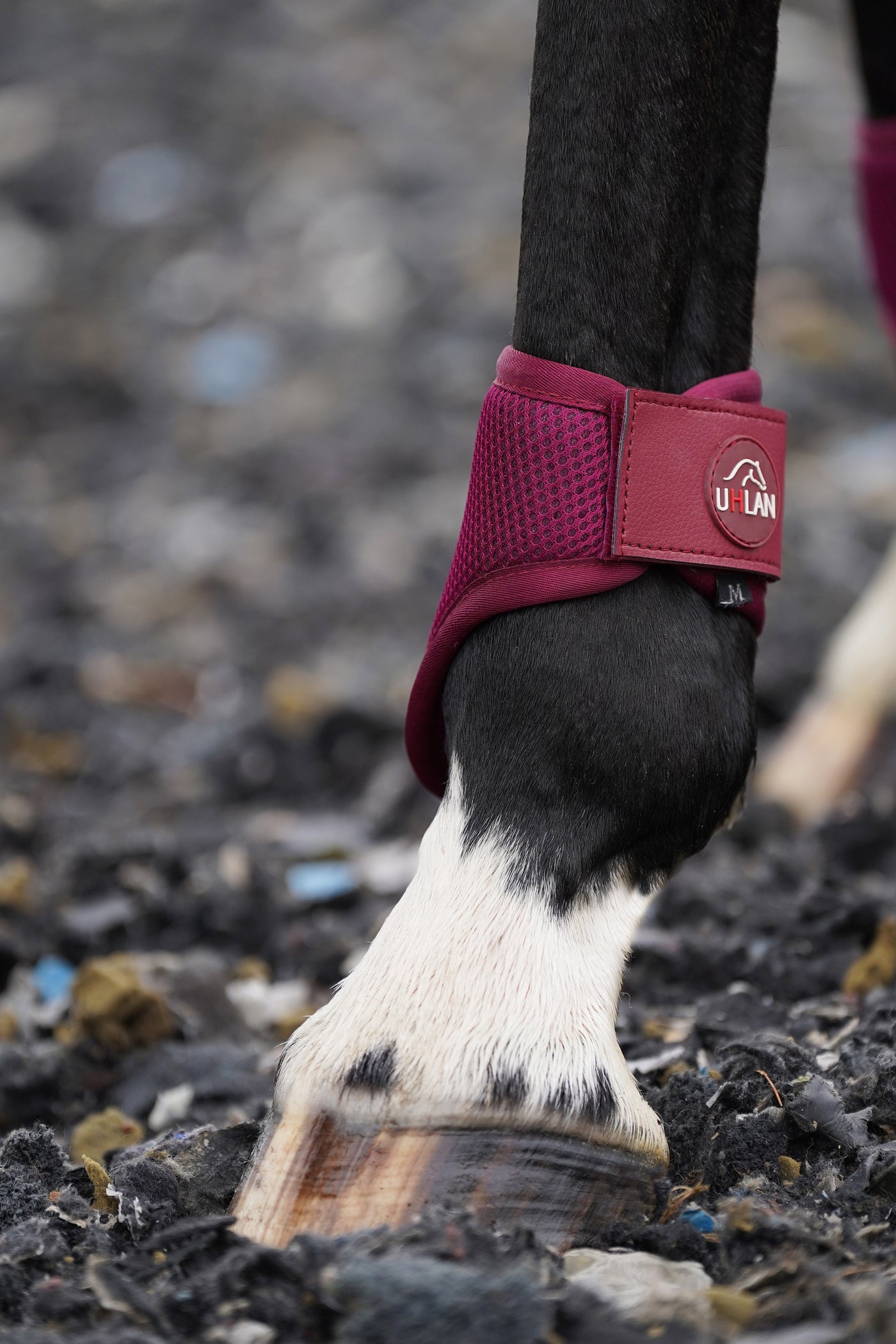 Raspberry Airflow Fetlock Boots